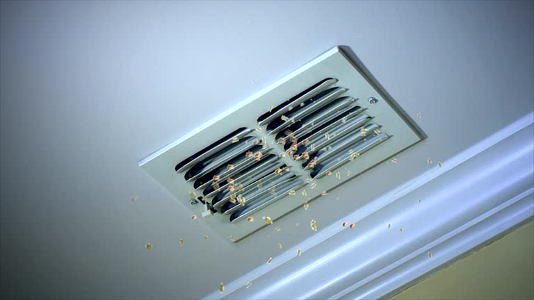 Best Home Air Vent Cleaning  in Aurora, MO